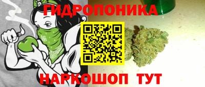кокс Шелехов
