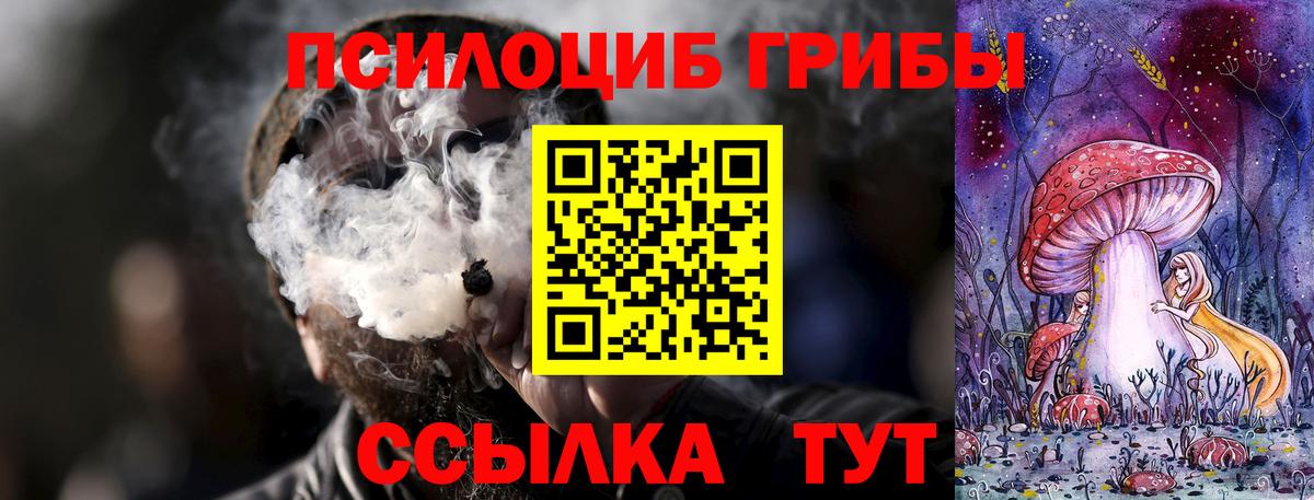 Галлюциногенные грибы MAGIC MUSHROOMS  Вход с VPN  Вичуга 