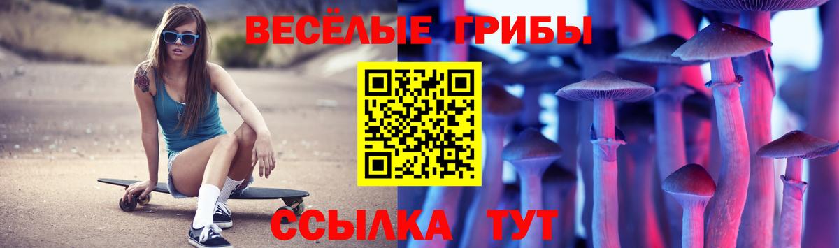 Псилоцибиновые грибы Psilocybe Вичуга