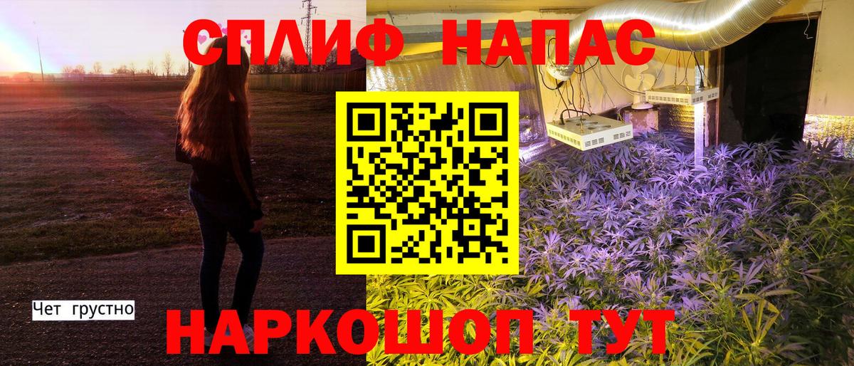 Вичуга  Канабис тримм  Бошки Шишки Bruce Banner  Шишки марихуана план  Шишки марихуана планчик  Вход с VPN 